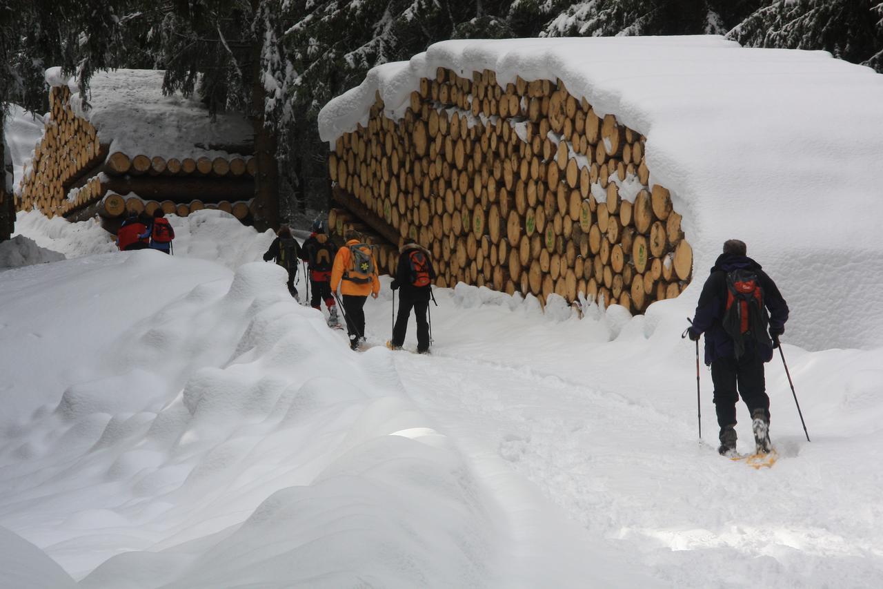 Gasthof Edelweiss Tires Exterior foto
